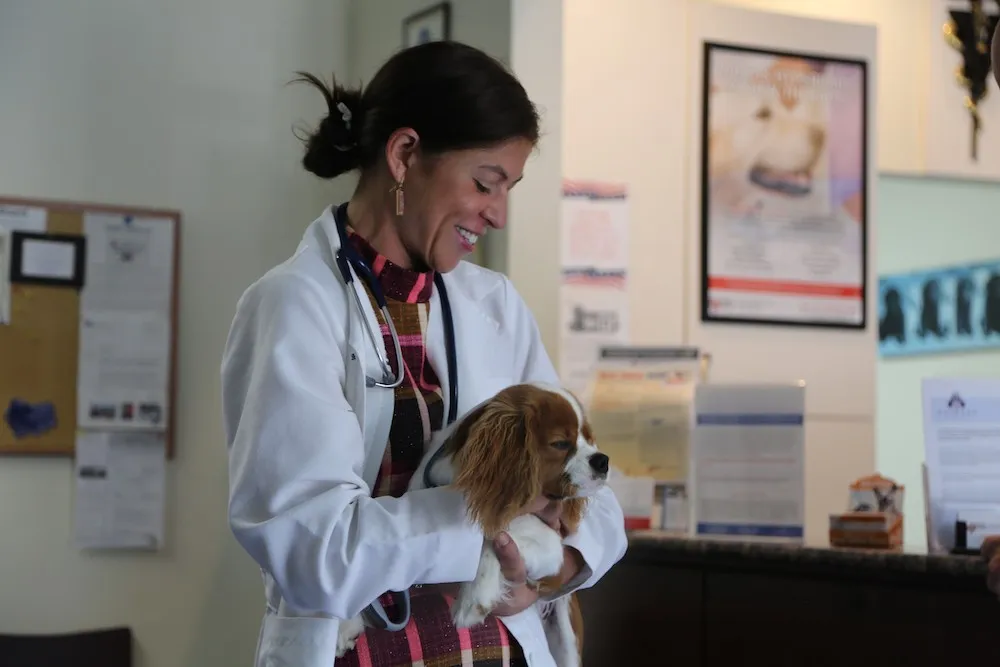 Dr. Lauren Sikorski smiling while holding a Cavalier King Charles spaniel